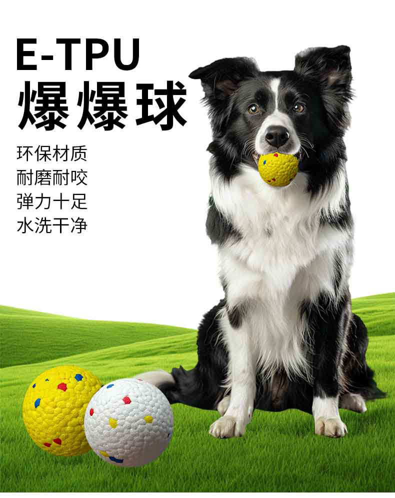 實心寵物球_01.jpg