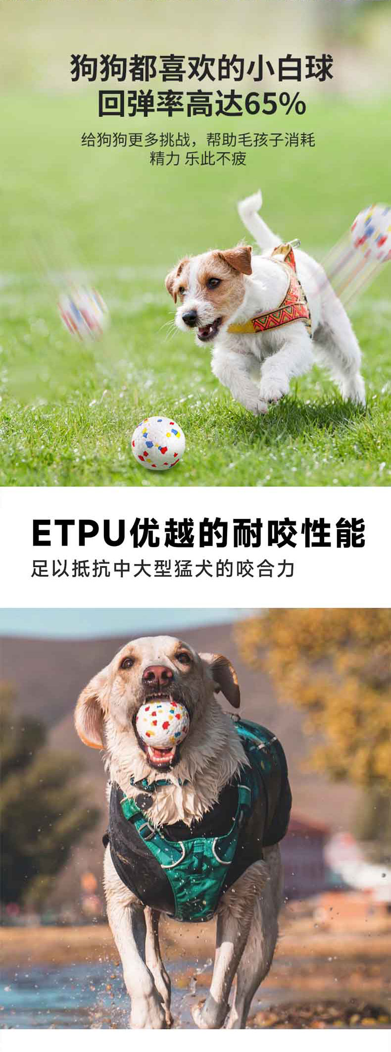 實心寵物球_05.jpg